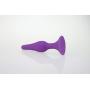 Fly Array Anal Plug Kit Butt Plug Set 4Pcs Protaste Massage Silicone Smooth Anal Training Sex Toys for Male Female Couples Beginners