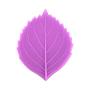 AK ART KITCHENWARE Petal Leaf Veiner Fondant Flower Kit Silicone Veining Molds Gum Paste Tools Cake Decorating Supplies 1pcs (VM099)