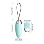 O-GAME Wireless Remote Control Vibarating Female 10 Frequency Vibraration Invisible Women Silicone Toy