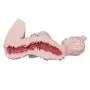 Elsa Babe Adult Male Stroker Silicone Masturbator Sex-Toys Entity Sex-Doll [Mizuno Aya]