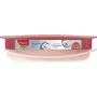 Maped Picnik Concept Adult Leakproof Lunch Plate, One Size, Brick Red (870202)