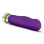 Aria - Lucent - Sleek 10 Vibrating Functions Flexible Ridged Massager - G Spot Stimulating Vibrator - Waterproof - Platinum Silicone - Sex Toy for Women - Sex Toy for Couples (Cerise)