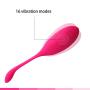 SheLins Kegel Balls for Beginners Kegel Exercise for Woman Age Old Ben Wa Balls Pelvic Floor Exercisers for Tightening