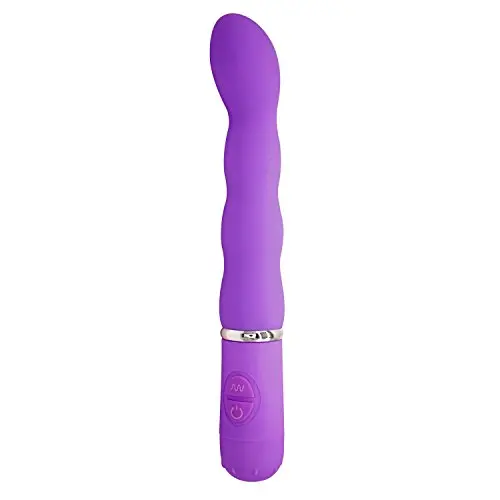 WELLWANTED 10 Modes Silicone G-Spot Vibration Clitoral Stimulate Masturbation Massager Sex Toy for Women, Purple, 6.4 Ounce