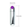 Bullet Vagina Stimulator Massager Mini Adult Massager for Travel Vibrant with USB Rechargeable & Waterproof Dildo Nipple G Spot Vibrator Adult Sex Toys for Women (Silver)