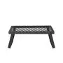 AmazonBasics Folding Campfire Grill
