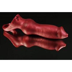 ERASEXA Sex Toys:were-ables Dick,Dog Dildo,Canine Dildo,were-ables (Purple)