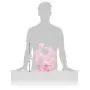 Bumkins SuperBib, Baby Bib, Waterproof, Washable, Stain and Odor Resistant, 6-24 Months, 3-Pack - Pink Fizz, Butterfly, Flutter Floral