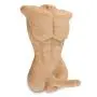 Male Body Realistic Lifelike Frontal Love Doll with Tight Anal Entry