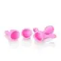 CalExotics Inspire Massager Kit - Body Wand Vibrator & Silicone Attachment Set for Couples ? Adult Sex Personal Massager - Pink