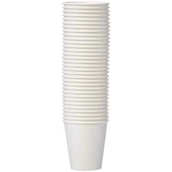 AmazonBasics Compostable PLA Laminated Hot Paper Cup, 10 oz, 300-Count