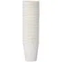 AmazonBasics Compostable PLA Laminated Hot Paper Cup, 10 oz, 300-Count