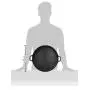 AmazonBasics Pre-Seasoned Cast Iron Pizza Pan, 13.5 Inch