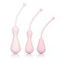 CalExotics Inspire Weighted Silicone Kegel Training Kit ? Hands Free Pelvic Floor Weight Exercise - Waterproof Sex Toys For Couples ? Pink