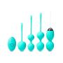 Complete 5pc Kegel Exercise Weight KIT for Women. Safe ABS Food Grade Silicone. Doctor Recommended for Bladder Control, Strengthens Pelvic Floor, for Beginners and Advanced, Stylish Turquoise