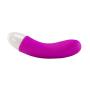 Eden Toys Perfect companion rechargeable mini - Silicone Luxury clitoral vibrator