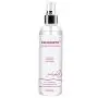 PALOQUETH Premium Toy Cleaner 8.2 oz