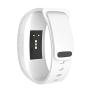 Alonea Samsung Gear Fit 2 Pro/Fit 2 Band, Silicone Wirstband Replacement Strap for Sansung Gear Fit2 and Fit2 Pro (Small White??)