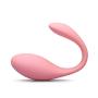 Richi 10 Modes Toys for Women ,USB Recharge