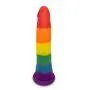 Pride Dildo - The 8" Silicone Rainbow Dildo With Suction Cup