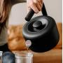 Fellow Clyde Stovetop Tea Kettle