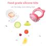 ORIY Baby Fruit Feeder Pacifier，Fresh Food Feeder, Infant Teething Toy，Silicone Pouches for Toddlers & Kids,Pink