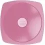 Maped Picnik Concept Adult Leakproof Lunch Plate, One Size, Tender Rose (870201)
