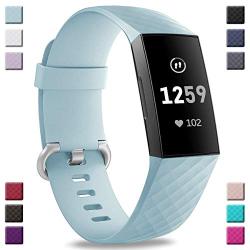 Hamile Bands Compatible with Fitbit Charge 3, Waterproof Replacement Watch Strap Fitness Sport Band Wristband for Fitbit Charge 3 & Charge 3 SE, Women Men, Large Small