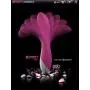 Happy Full Waterproof 12 Speed Silicone Rechargeable G Spot Dildo Vibrators Vibrator Adult Sex Toys for Women, Sex Products