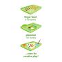 green sprouts Finger Food Platemat | Spacious eating area with raised edges contains messes | Helps develop independent eating skills, Grows with baby, Made of silicone, Dishwasher safe