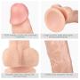 7 in Lifelike D?_dl?s Adult Toy for Women Hand-Free Couple Massage