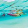 Fin Fun Mermaid Tails for Swimming with Monofin - Kids and Adult Sizes - Limited Edition