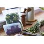 Stasher 100% Silicone Reusable Food Bag, Snack Storage Size, 4.5-inch (9.9-ounce), Clear