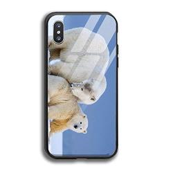 iPhone X/XS Case, Protective Heavy Duty Case with Tempered-Glass Back Case for iPhone X/XS 5.8 Inch (Bears Polar Bears)