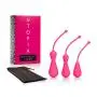 CalExotics Utopia Weighted Silicone Kegel Trainer Set ? Ben Wa Vaginal Kegel Weights - Hands Free Pelvic Floor Weight Exercise - Waterproof Sex Toys For Women ? Pink