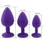 Panzisun Silicone Butt Plug Anal Unisex Sex Stopper Different Size Adult Toys for Men/Women Trainer Couples 6 Pack (Purple)