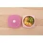 Maped Picnik Concept Adult Leakproof Lunch Plate, One Size, Tender Rose (870201)