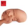 Cyberskin Doggy Style Vibrating Pussy & Ass Realistic Sex Dolls, Silicone Vaginal Sex Masturbator, 12.62 Pound