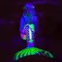 Fin Fun Mermaid Tails for Swimming with Monofin - Kids and Adult Sizes - Limited Edition