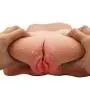 InvincibleFun Fun Toy 3D Realistic LifesizeTPE Dolls for Men Male Scene Props Lifelike Female Silicone Torso Love Doles for Man Bedding Enrich