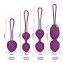 Y.LOVE Silicone Kegel Balls for Beginners & Advanced for Pelvic Floor Exercises & Tightening 2 in 1 Kegel Exercise Weights & Massage Ball Ben Wa Balls Sets … … … …