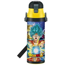 Skater direct stainless steel bottle 580ml Dragon Ball super SDC6