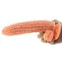Romi Suction Silicone Vegetable Dildo Novelties Fetish Toy Big Penis Adult Sex Large Cock G Spot Stimulate Anus Stopper