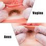 UGXYP Lifelike Personal Care Lifelike Silicone Dolls for Men Realistic Love Toys Lifesize Novelty Adult Toys
