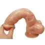 FULLLIGHT TECH 10" Premium Silicone Realistic Big Dildo with Suction Cup & Balls Women Sex Toy Free Sexual Lube Get (Flesh)