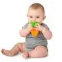 Little Toader - Baby Teether Toys ? Appe-TEETHERS Broccoli teether and Carrot teether - for Teething Infants and Toddlers (Newborn and 3+ Month)