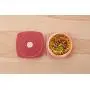Maped Picnik Concept Adult Leakproof Lunch Plate, One Size, Brick Red (870202)
