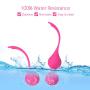 Silicone Ben Wa Balls for Beginner,Vaginal Weights, Pelvic Floor Exerciser,Doctor Recommeded for Bladder Control Enhanced & Vagina Tightening, Childbirth Recovery (Pink)