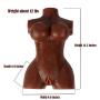 Xise Realistic 3D Love Doll Sex Toys for Men Male Masturbator with Vagina and Anal Discreet Package,13 Pound (Brown)