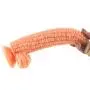 Romi Suction Silicone Vegetable Dildo Novelties Fetish Toy Big Penis Adult Sex Large Cock G Spot Stimulate Anus Stopper